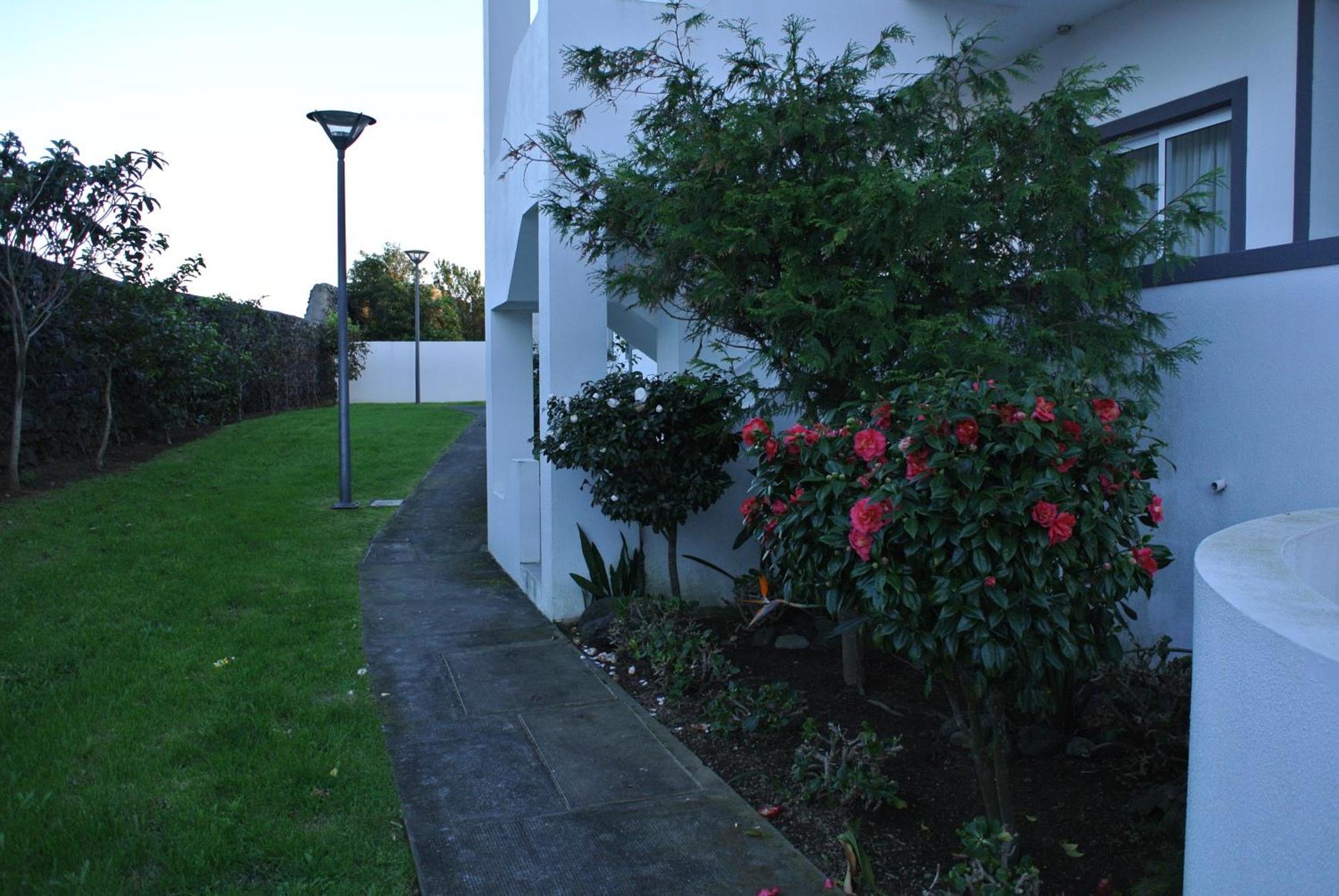 Casa Simba , Where The Fun Begins Ponta Delgada 외부 사진