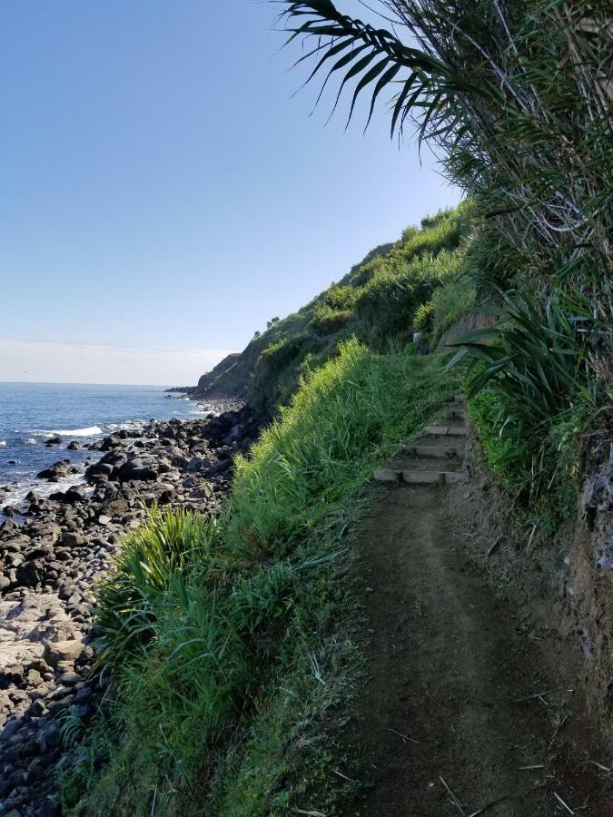 Casa Simba , Where The Fun Begins Ponta Delgada 외부 사진