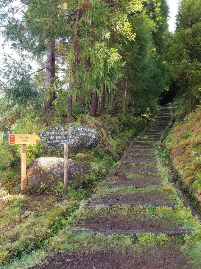 Casa Simba , Where The Fun Begins Ponta Delgada 외부 사진